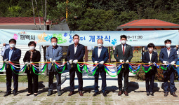 태백 반려동물 놀이터 정식 개장