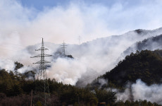 삼척 원덕 산불피해지 산림복구계획 주민설명회 개최
