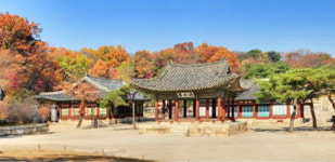 늦가을 깊은 정취, 궁궐 뜨락에 깃들다