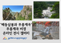 동해시시설관리공단, 무릉계곡 비경 온라인 전시회 개최