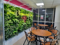 부천시, 공기정화식물로 대기 오염물질 줄인다