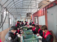 선린대학교 농촌일손돕기 봉사활동  