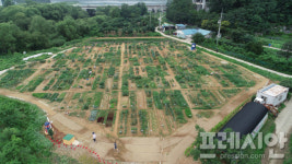 나도 텃밭 가꿔볼까? 용인시, 시민농장 가꿀 농부 800팀 모집