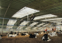 경기도, 가축행복농장 인증제 참여 축산농가 모집  