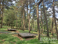 제주 절물자연휴양림, 국립자연휴양림 이용객 1위