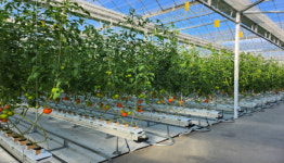 진안군, 지역특화 품목 선정 및 활성화 본격 추진