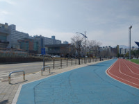 속초시, 엑스포 잔디광장 트랙 정비사업 추진