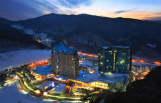 하이원리조트, 여름 성수기 호텔·콘도 객실 사전 판매