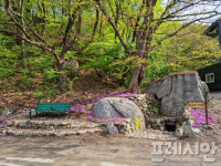 “이런 곳이 있었다니”…양주시, 샘내마을 우물 발견·복원
