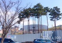 [단독] 양주 옥정신도시 실내 체육관 우여곡절 끝 준공