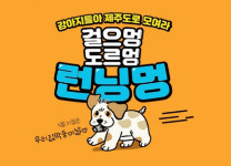 “강아지들아. 제주도로 모여라~!”