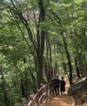“창원 성주사 황토곰숲길에서 ‘맨발 힐링’ 해보세요”