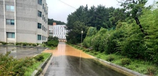 창원시는 폴리텍대학 물난리 보고만 있나?