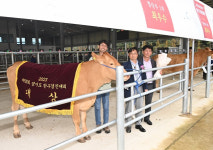 제55회 경기도 한우경진대회 이천시 장민수 농가 대상