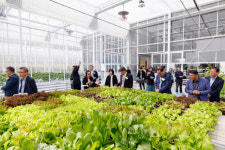 강원대 농업생명과학대학-강원특별자치도 농업기술원 리서치데이 및 협의체 성과보고회