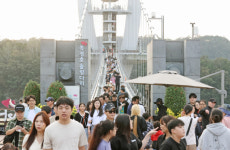 뚝심으로 이뤄낸 임실 천만 관광 도약…심민 군수 리더십 재조명