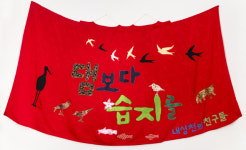 지율, 내성천을 수놓다