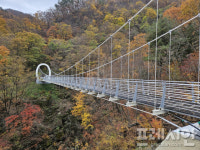 가평군, 58억짜리 명지산 출렁다리 내달 3일 개통