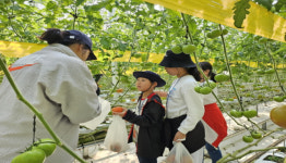 진안군, 전주 로컬푸드 호성점 소비자들과 교류 행사 성공