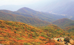 주말에 가볼만한 명산…광양시, 백운산을 가야할 이유 소개  눈길