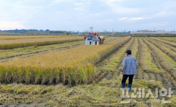 군산시, 공공비축미 배정물량 전량 매입… 농가소득 보탬 기대