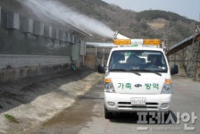 김천시, 한우농가 ‘럼피스킨병 양성’ 확정...경북 방역 비상