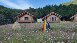 고흥군 팔영산 치유의 숲…18일 가을 음악회 개최
