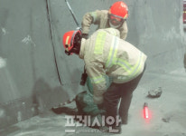 이천소방서, 정개터널 내 배회 고라니 구조