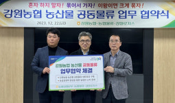 강원농협·농협물류·강일로지스 ‘농산물 공동물류 업무 협약식’ 개최