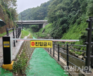 진관IC1교 | [용인소식] 상습 교통정체·수해 몸살 ‘고기교’ 일대 정비 추진