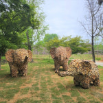 전주동물원에 폐목재로 만든 코끼리 가족 조형물 포토존으로 제공