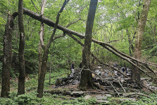 태백산국립공원 문수봉 방향 등반로 관리소홀 논란