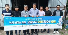 군산시, 어족자원 보존 낙지 방류... 어업인 소득 창출 기대