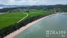 송림 우거진 550m 백사장 고흥 대전해수욕장 개장…8월 15일까지 운영