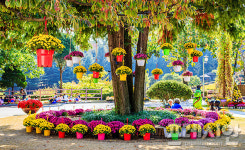 용인 농촌테마파크, 7~8월 단체체험객 체험료 지원