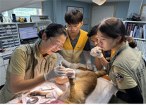 ‘국립공원으로 간 수의대생’ 야생동물 구조·치료에 힘 모아