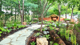 대전 도심 속 유휴공간 치유 정원 재탄생