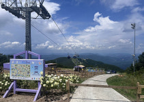 하이원 운탄고도케이블카, 즐길거리 가득한 관광명소로 부상