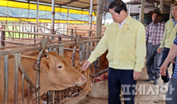 고흥군, 전남 으뜸한우 경진대회 최우수상…유자골 한우 우수성 입증