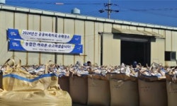 파주시, 공공비축미곡 수매 돌입…총 7756포 매입