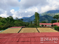 [문상윤 식품전문기자의 커피이야기] ⑫커피 생두 가격 급등… 커피산업에 불어닥친 도전과 2025년 전망