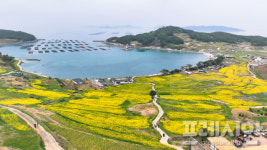 완도 청산도, 2024 한국 관광의 별 선정…친환경 관광 콘텐츠 분야 본상 수상