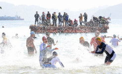 겨울바다의 낭만, 거제도 국제펭귄수영축제 열린다