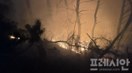 구례군 광의면서 야간 산불…3시간 30분 만에 진화