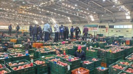 안동농협 농산물공판장, 매출액 3600억 돌파