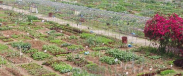 광명시, 시민주말농장 참여자 14일까지 모집