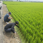 [평택소식] 평택시, 용이동 행정복지센터 건립 기공식 개최 등