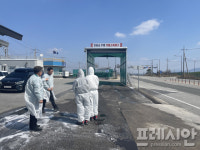 영광군 구제역 확산 예방에 모든 행정력 집중