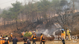 불길 속 소방관들의 사투… 차라리 전쟁 영화 였으면... 