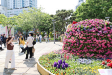 사계절 꽃피는 정원도시로…  대전 유성, 녹색 도시 혁신 본격화